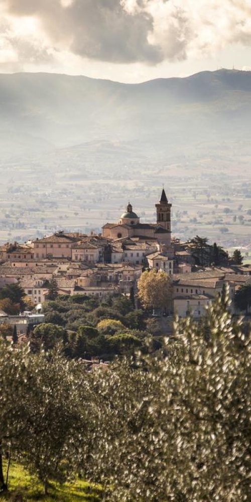 Umbria-Dop-Olio